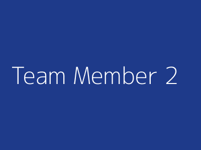 Team Member 2